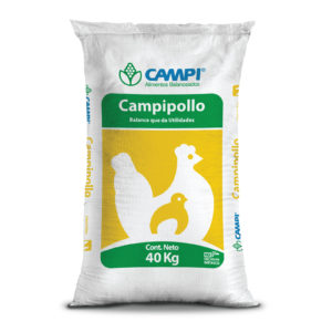 Campipollo