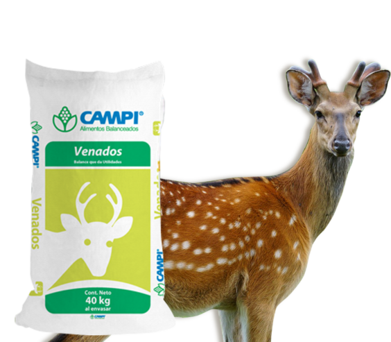 Campi-Venado