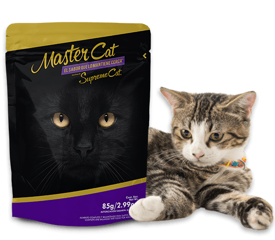 MasterCat-Promo02 MasterCat-Promo02